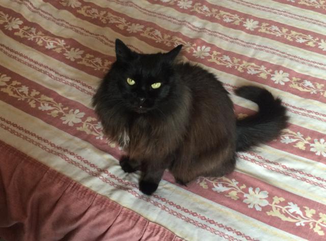 multimedia-foto36546-617-3