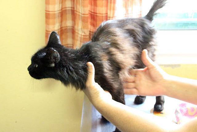 multimedia-foto36548-846-3