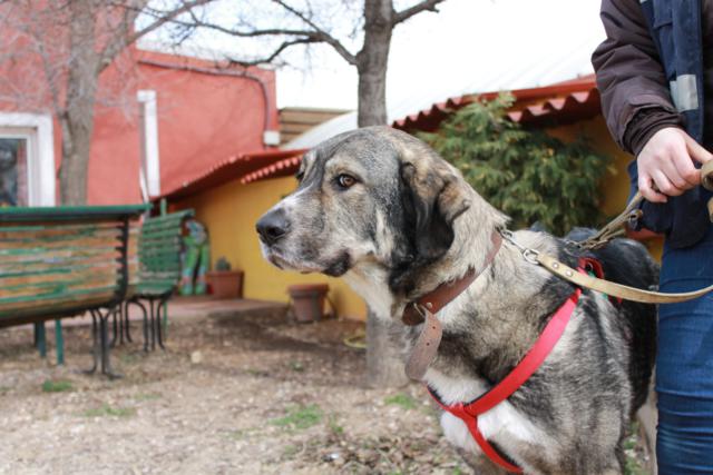 multimedia-foto36600-961-3