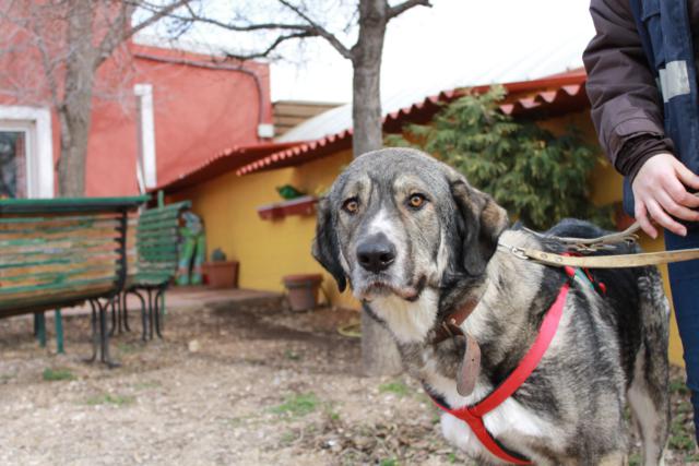 multimedia-foto36601-159-3