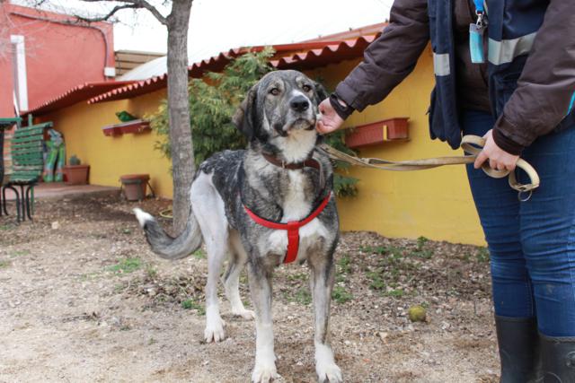 multimedia-foto36602-341-3