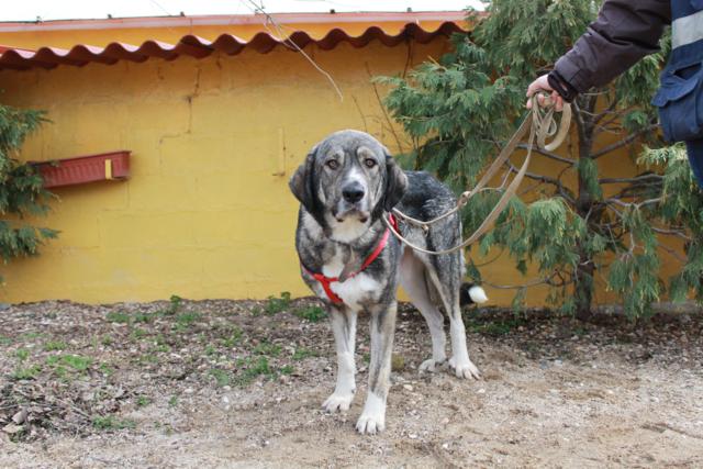 multimedia-foto36603-507-3