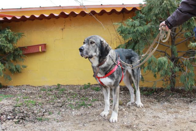 multimedia-foto36604-649-3