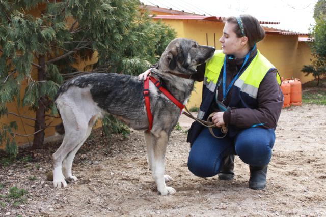 multimedia-foto36605-771-3