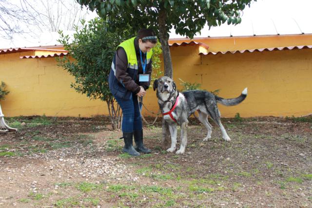 multimedia-foto36606-870-3