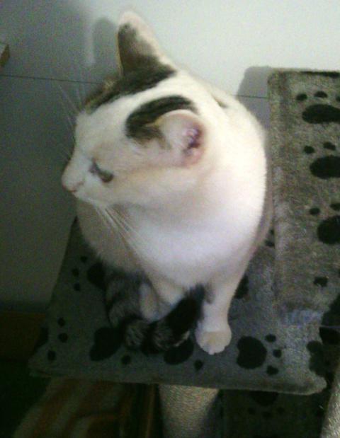 multimedia-foto36724-641-3