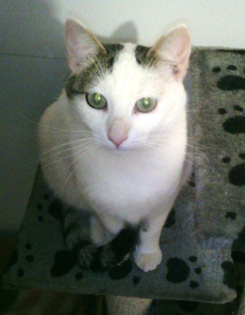 multimedia-foto36725-856-3