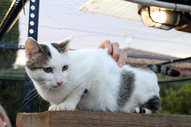 multimedia-foto36730-708-3