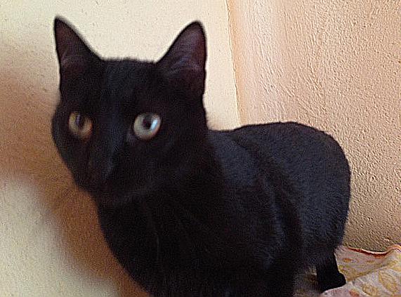 multimedia-foto36733-647-3