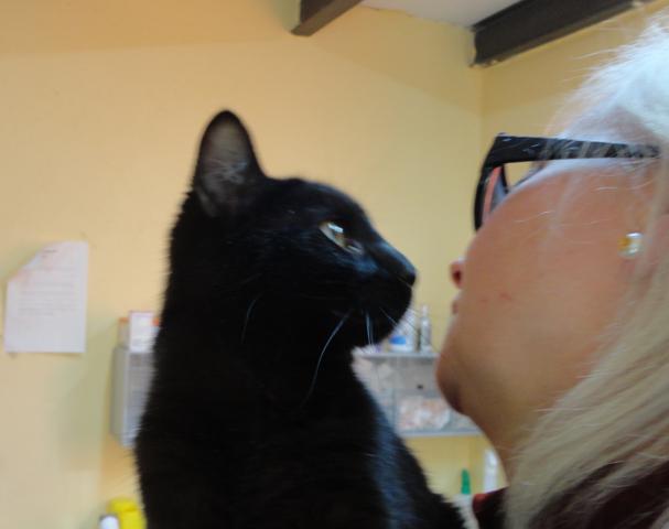 multimedia-foto36736-258-3