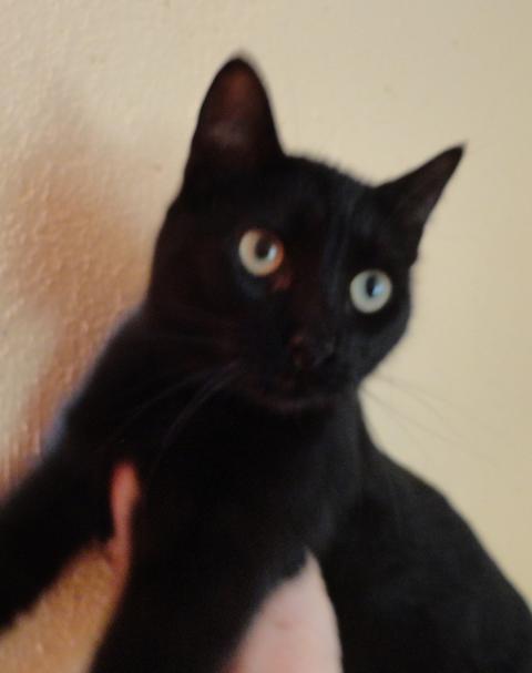 multimedia-foto36737-428-3