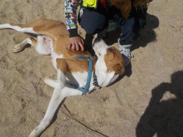 multimedia-foto36740-429-3