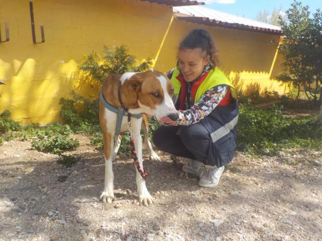 multimedia-foto36741-653-3