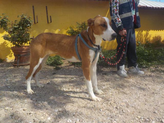 multimedia-foto36742-867-3