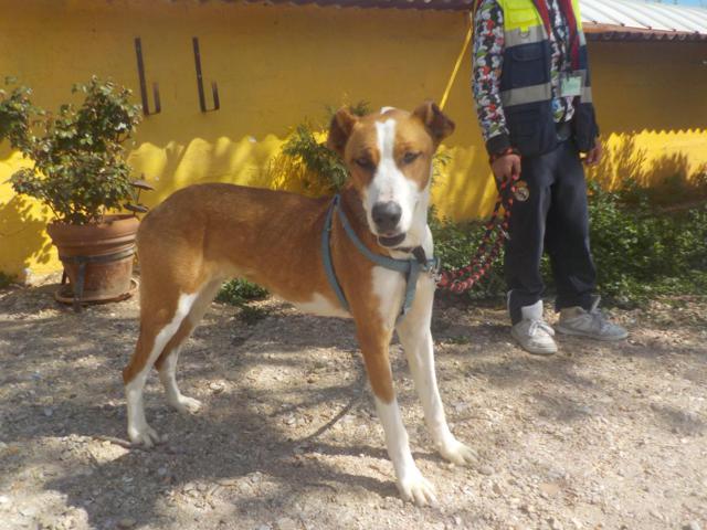 multimedia-foto36743-69-3