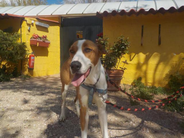 multimedia-foto36744-263-3