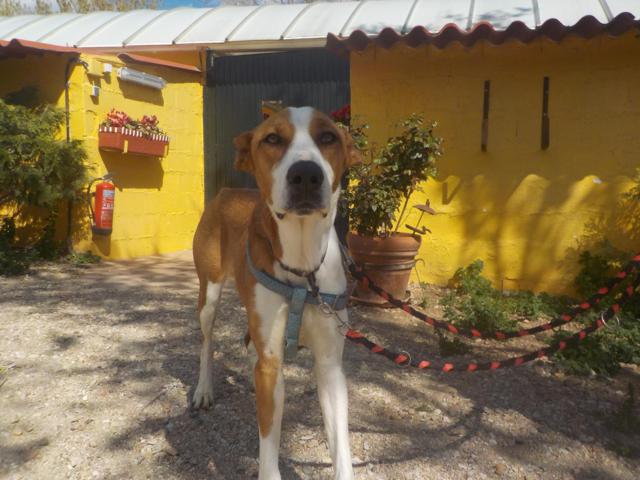 multimedia-foto36746-587-3