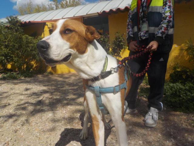 multimedia-foto36747-716-3