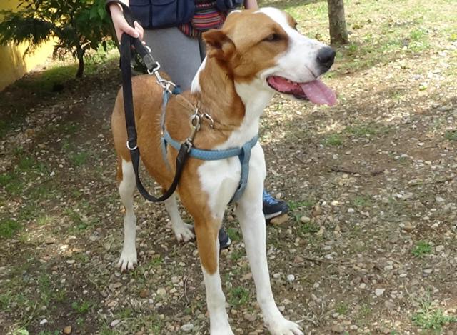 multimedia-foto36748-826-3