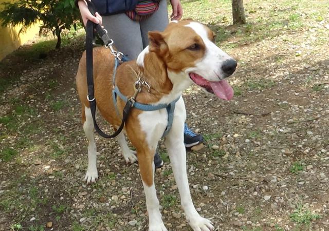 multimedia-foto36749-898-3