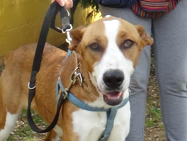 multimedia-foto36750-946-3