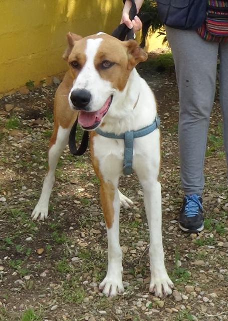 multimedia-foto36751-987-3