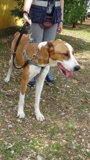 multimedia-foto36752-23-3