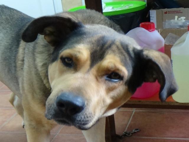 multimedia-foto36755-664-3