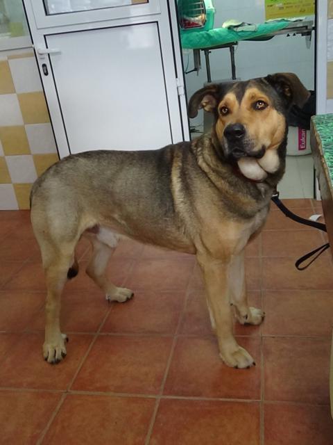 multimedia-foto36756-877-3