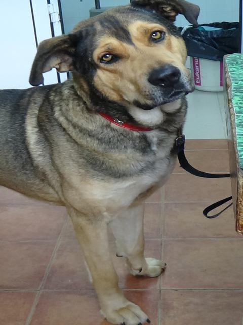 multimedia-foto36757-79-3