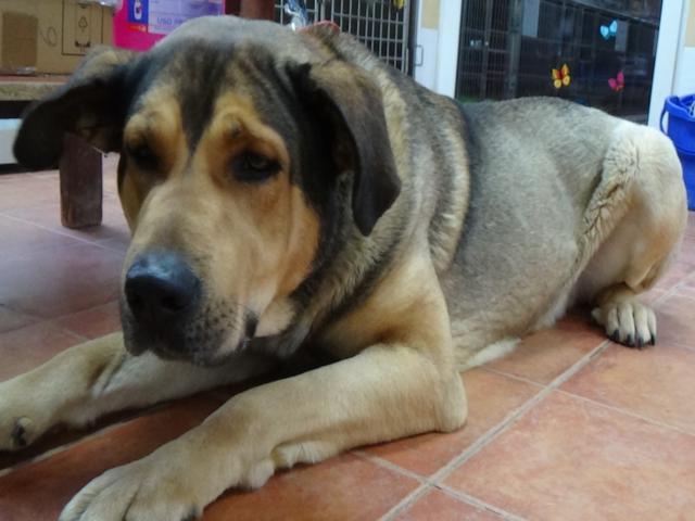 multimedia-foto36758-272-3