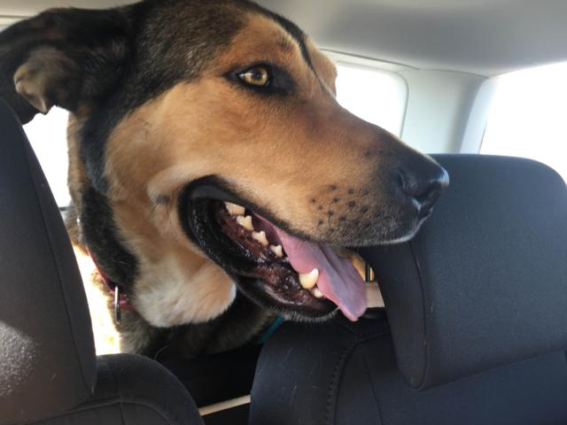 multimedia-foto36760-593-3