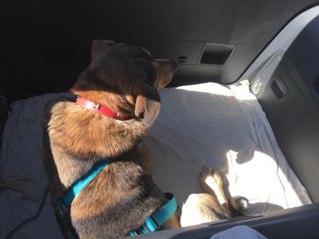 multimedia-foto36761-721-3