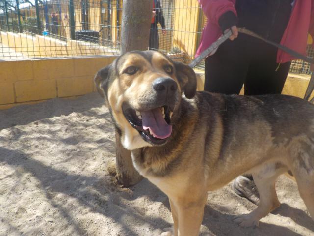 multimedia-foto36762-830-3