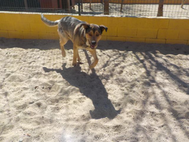 multimedia-foto36764-947-3