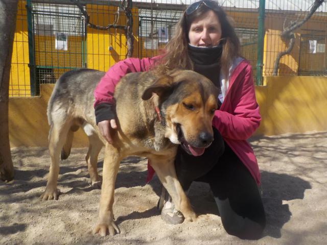 multimedia-foto36765-989-3