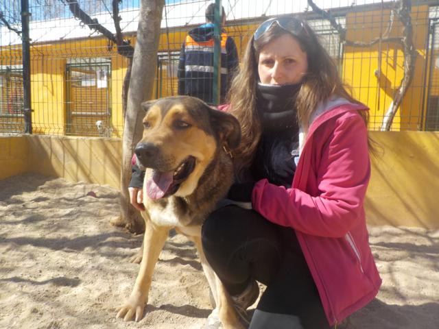 multimedia-foto36766-24-3