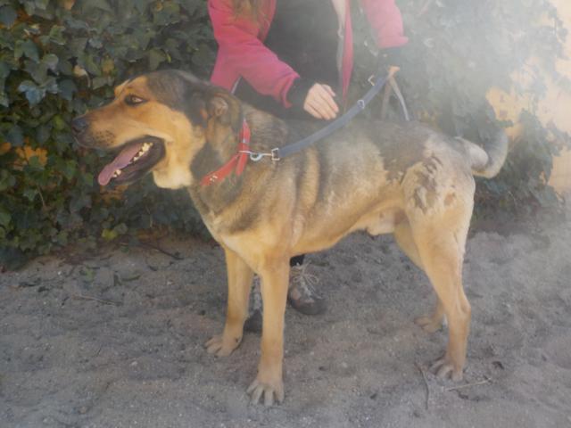 multimedia-foto36767-54-3