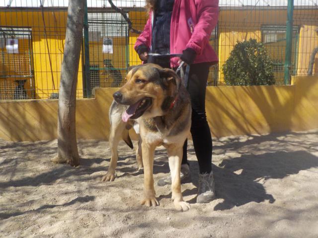 multimedia-foto36768-80-3