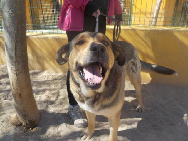 multimedia-foto36769-102-3