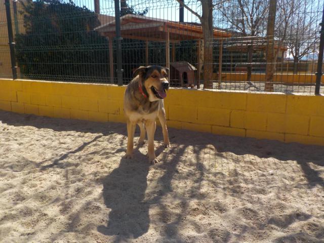 multimedia-foto36770-118-3