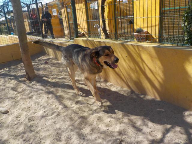 multimedia-foto36771-133-3