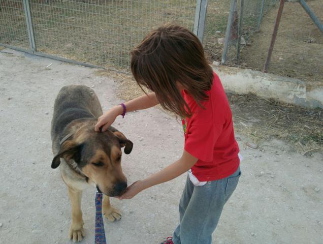 multimedia-foto36772-139-3