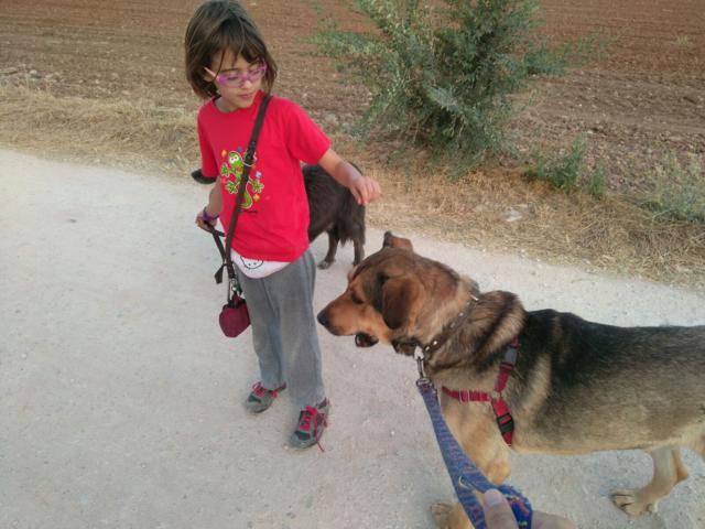 multimedia-foto36773-142-3