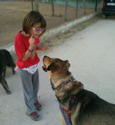 multimedia-foto36774-145-3