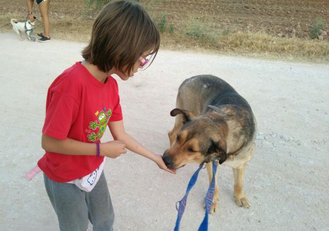 multimedia-foto36775-148-3