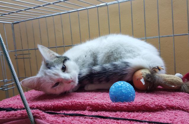 multimedia-foto36804-481-3