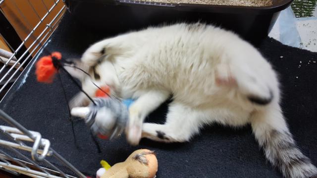 multimedia-foto36805-705-3