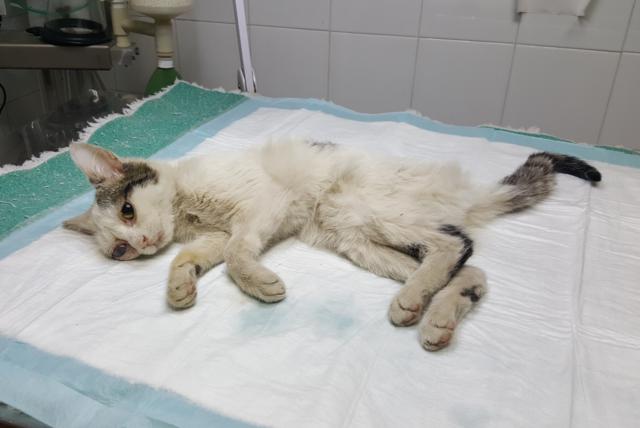 multimedia-foto36807-118-3