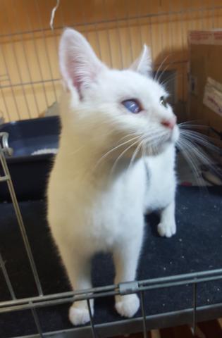 multimedia-foto36808-305-3